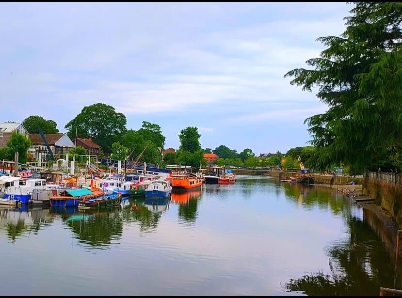Eel Pie Island