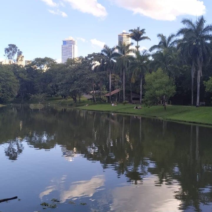 Passeio a tarde no Lago das rosas em Goiânia/SP