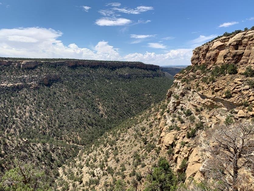 Views from the trail.