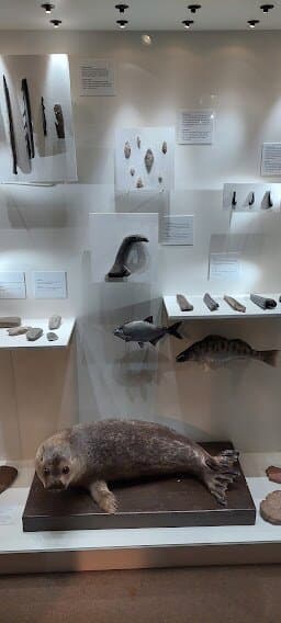 экспозиция