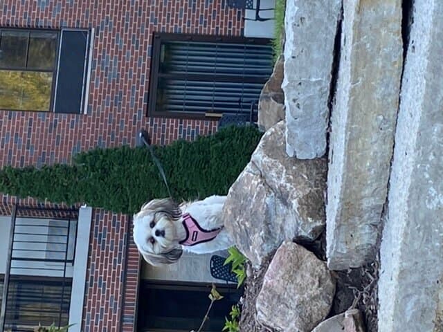 The American Club Kohler