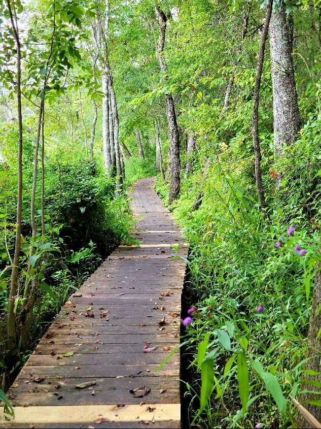Savannah-Ogeechee Canal Museum & Nature Center