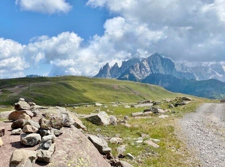 Vista su Focobon, Mulaz e Pale di San Martino