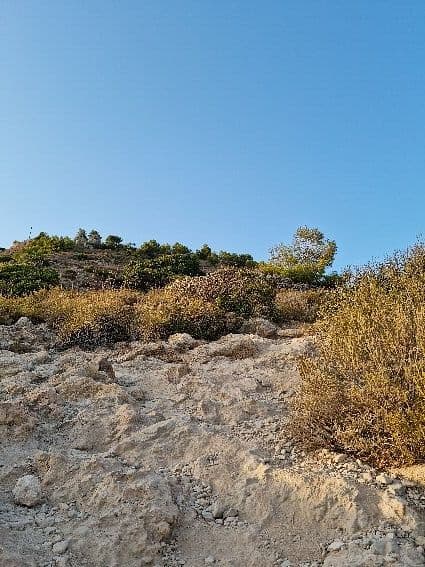 Calas del Pino