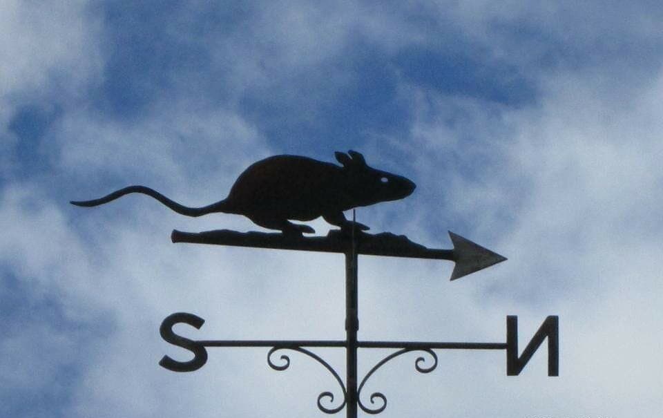 Weather vane.