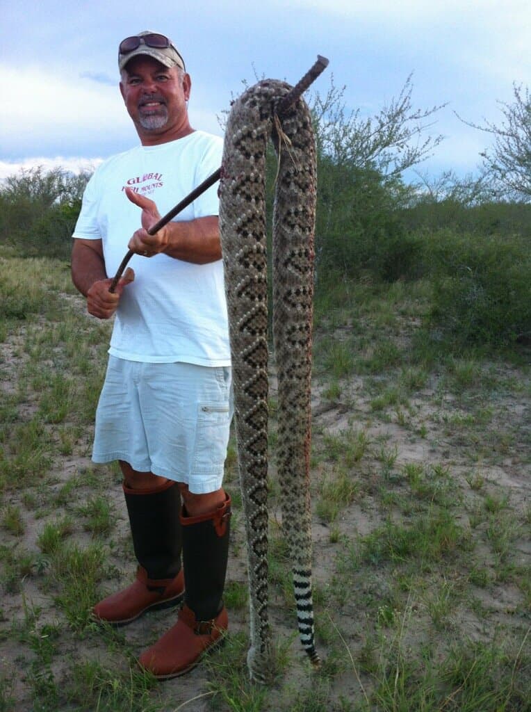 Pet the friendly critters and buy a lemon