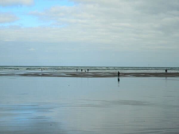 Sunset Beach is a large beach driveable by regular two wheel drive vehicles. This makes it very handy for the razor clammers to access the clam beds. Yes, this 18 mile long stretch of beach is one of the premier beaches in the Northwest to dig tasty razor clams! When we arrived two hours before the low (minus) tide, there were already hundreds of clam diggers already there. Fortunately, there were plenty of clams for everybody!