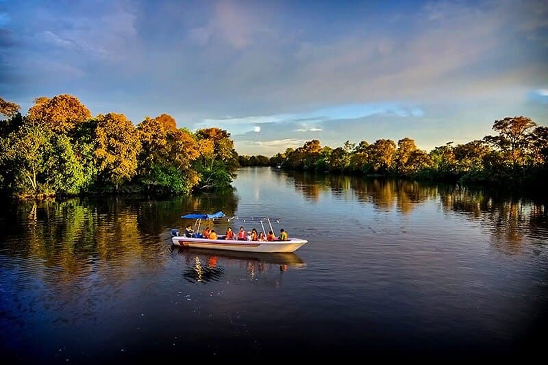 Kawa Kawa River Cruise
