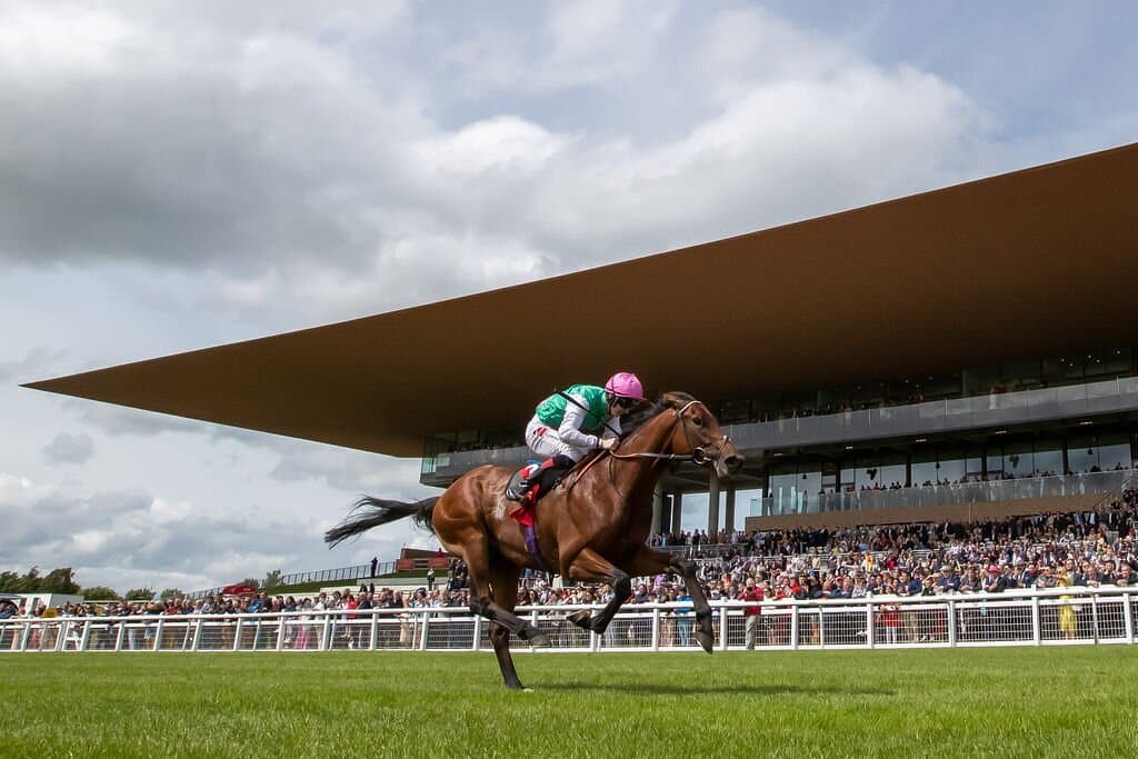 2022 Dubai Duty Free Irish Derby Winner, Westover under jockey, Colin Keane