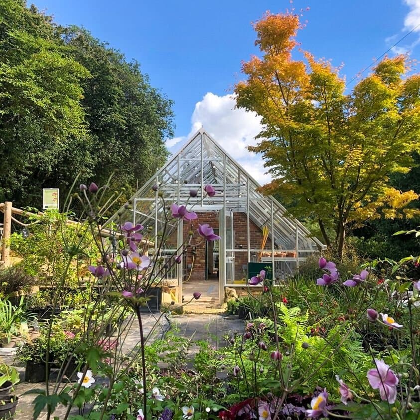 glasshouse