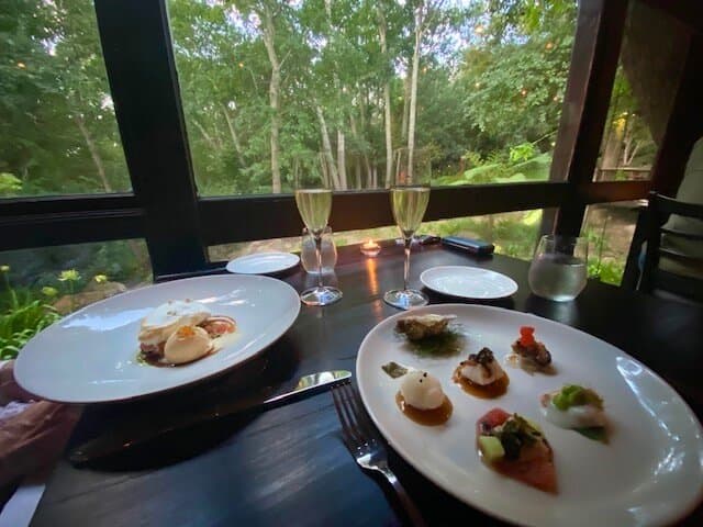 View from interior to forest