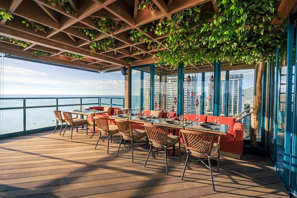 Pippa - Sunset Fl. 2