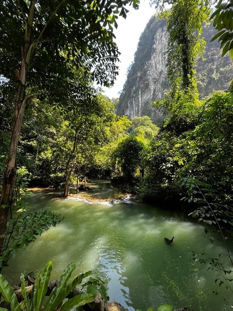 Bor Thor Mangrove and Caves