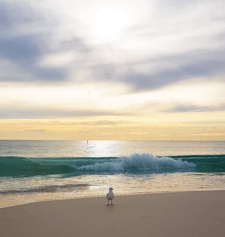 Whitfords Beach, Western Australia