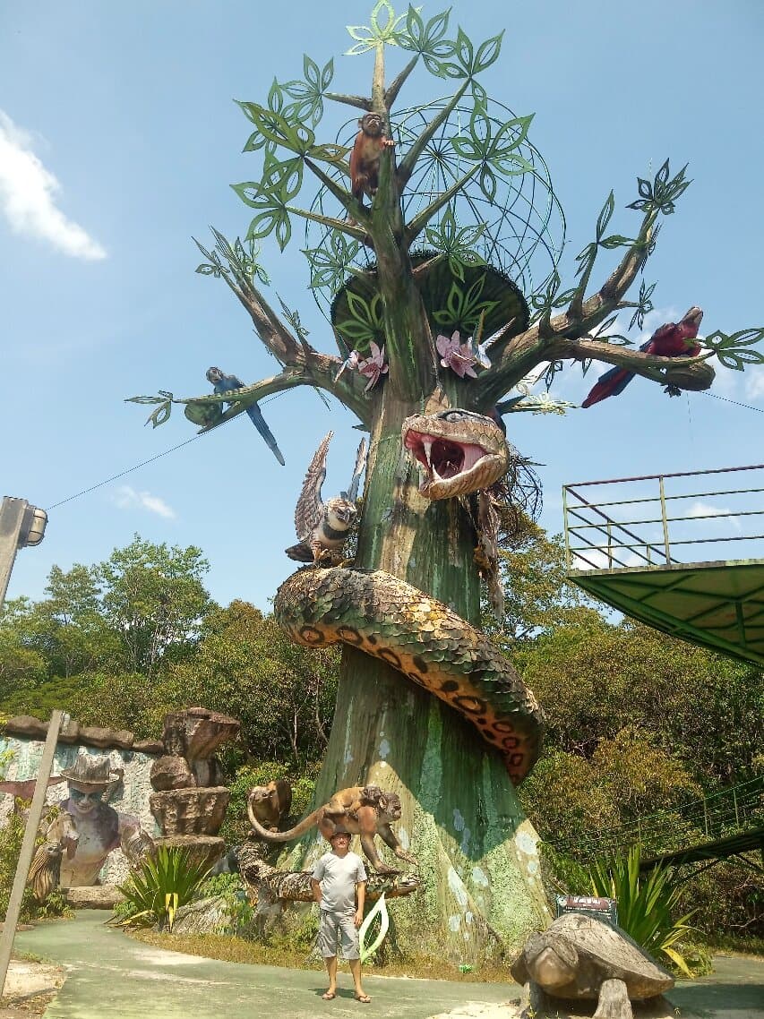 O Parque Sumaúma foi criado em 2003 e está localizado em uma área de floresta de mais de 52 hectares, no bairro Cidade Nova, na Zona Norte de Manaus. O espaço é a primeira unidade de conservação estadual localizada na cidade. No local, os visitantes podem desfrutar de diversas atrações em pleno contato com a natureza, como diferentes trilhas onde é possível ver diversas espécies de árvores, caminhadas em uma trilha pavimentada e ver esculturas de personagens do folclore amazônico.