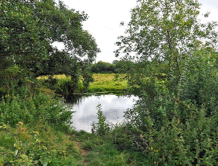 River Bure, Marston MArshes