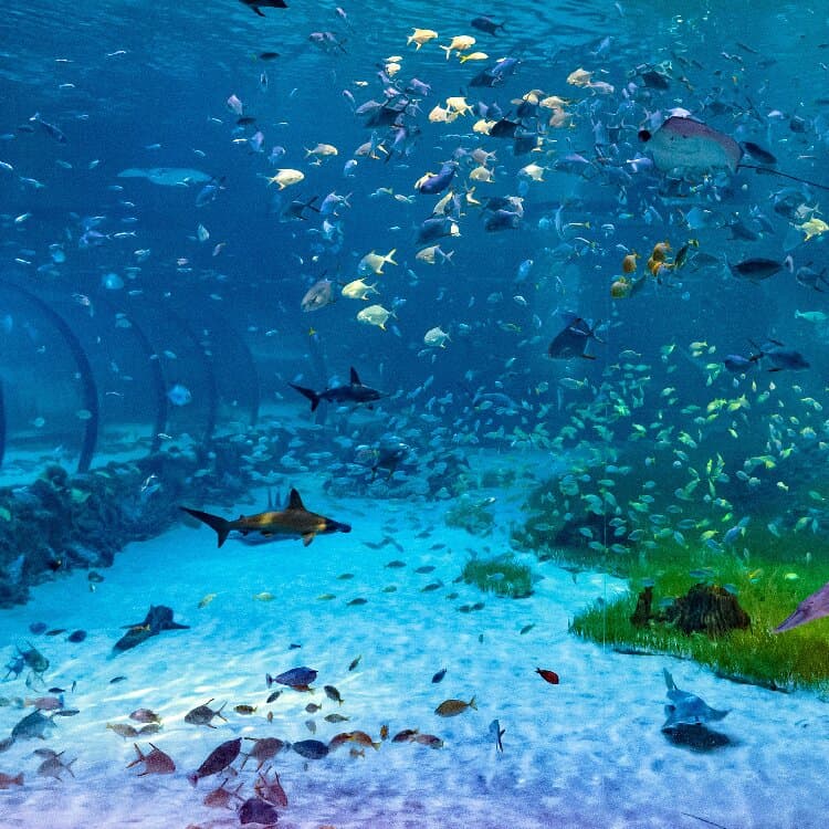 Bu Tinah Island. Did you know Abu Dhabi is home to more than 200 islands?