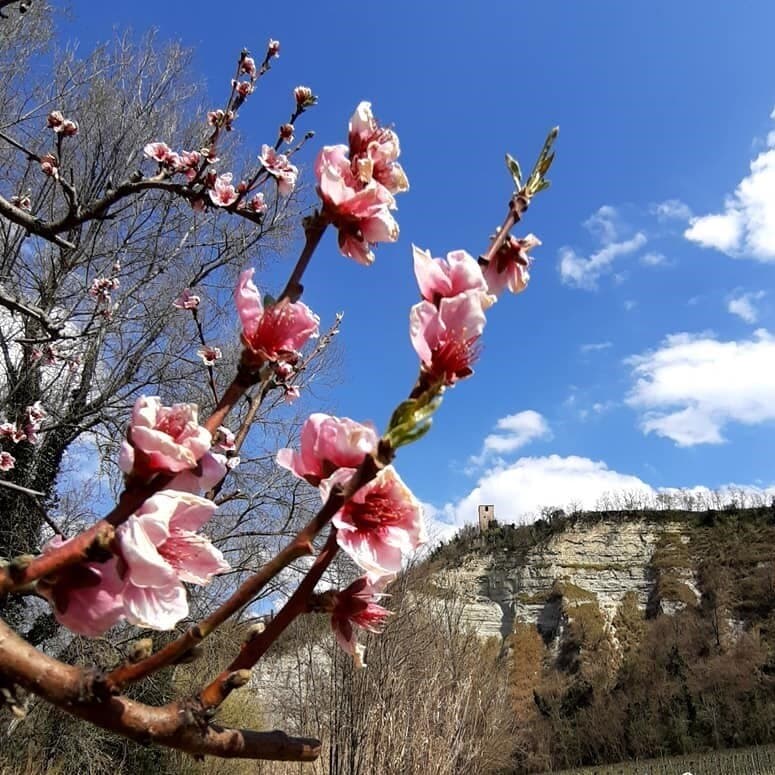 Fiume Savio vista Roversano
