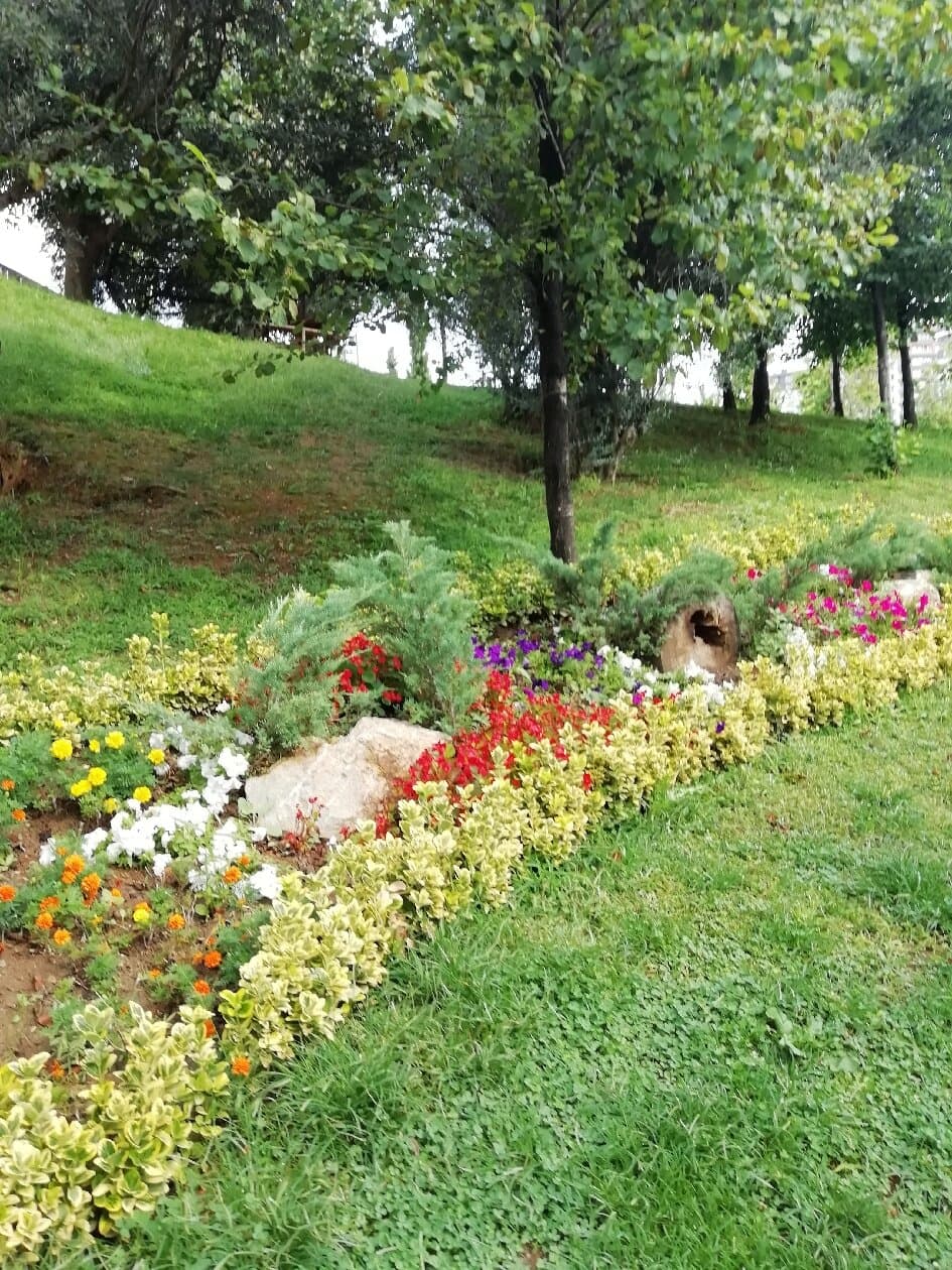Explore Pendik Millet Bahçesi