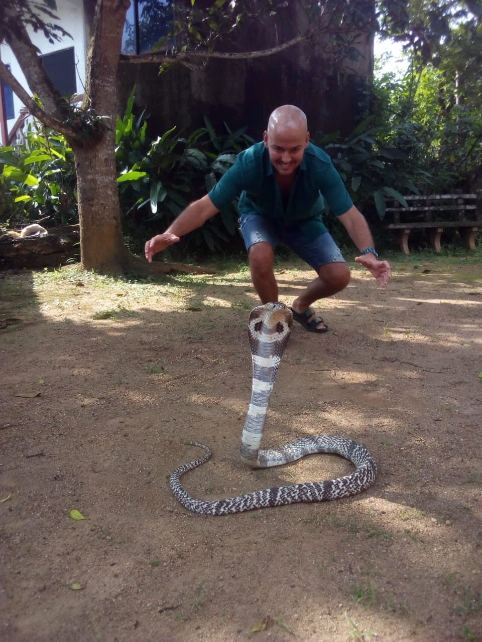 Snake Farm Telijjawila (Main Place)