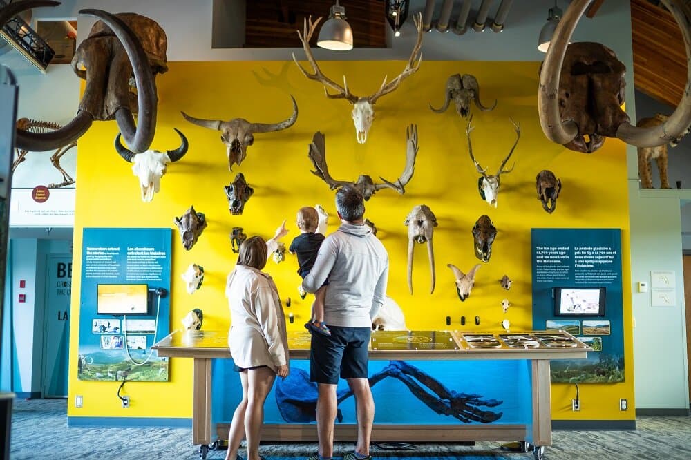 A family looks at one of the new exhibits at the Beringia Centre.