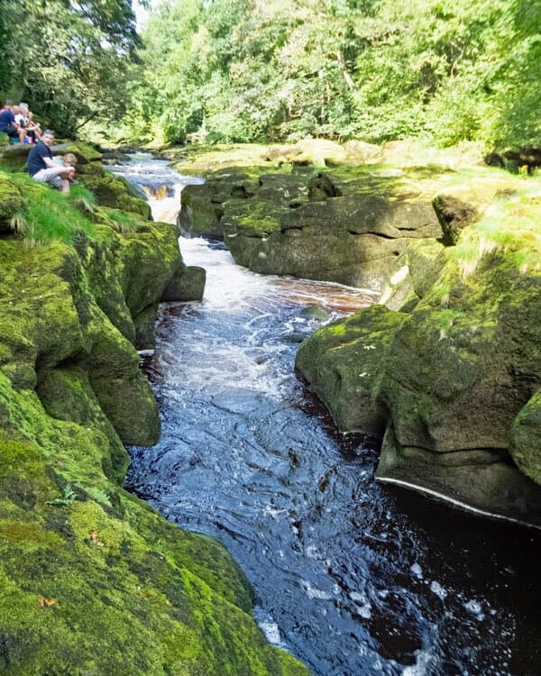 Along the footpath from Barden Bridge to Bolton Abbey passing the Strid