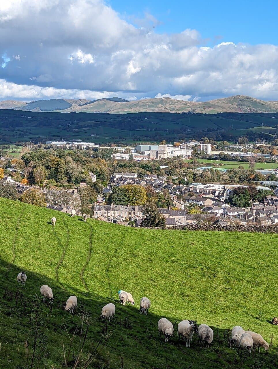 Serpentine Woods and Poetry Trail