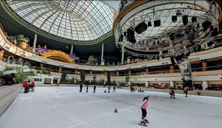 Go ice skating at Lotte World Ice Rink