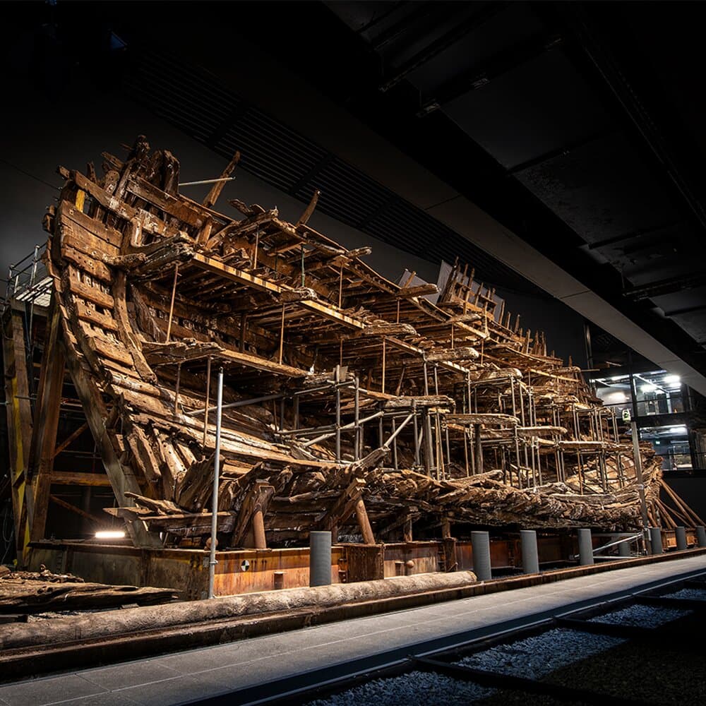The Mary Rose 