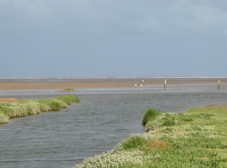 The Irish Sea visible in the distance at the end of the Redshank Rd