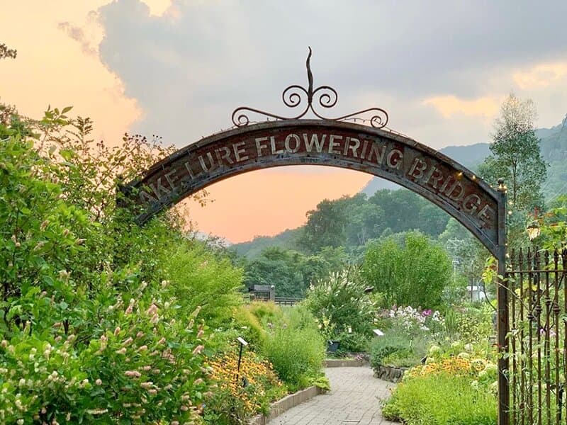 From the East entrance, walk under the iron arch along the walkways and take in all the gardens.