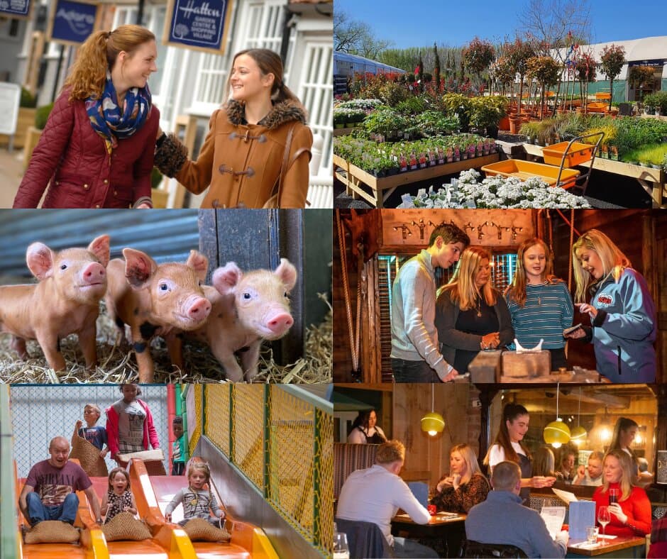 Hatton Country World a corner for everyone. From The Adventure World for the Children to The Escape rooms and shopping in the shopping village for the grown ups. Plus a wonderful country walks round the estate make Hatton fun for everyone.