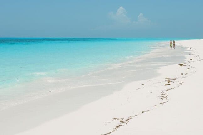 Zanzibar 🏝️🏖️ paradise 🏝️🏖️