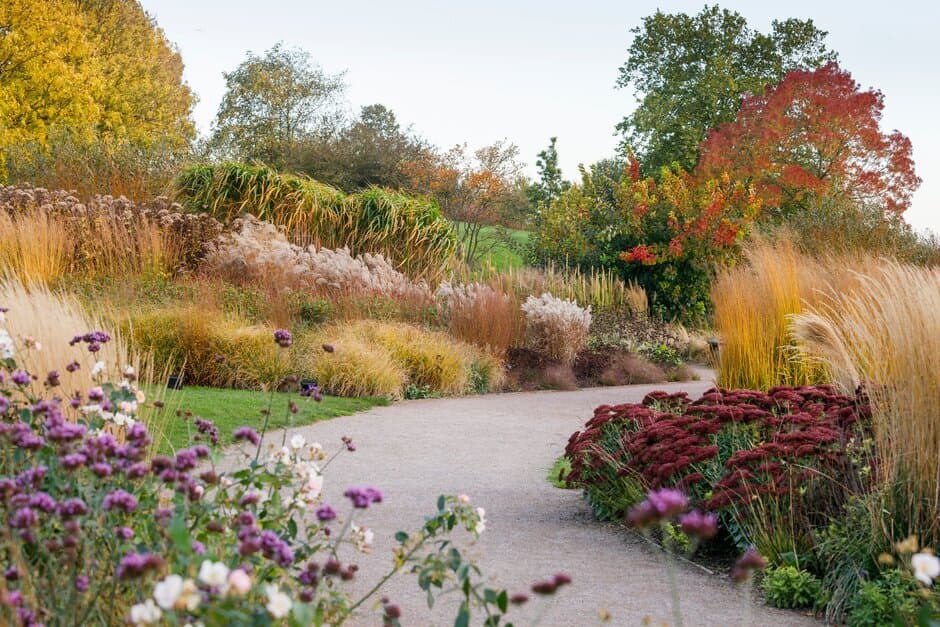 Clover Hill with its winding paths and textural grasses