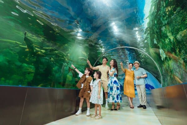 Welcome to Baoson Paradise