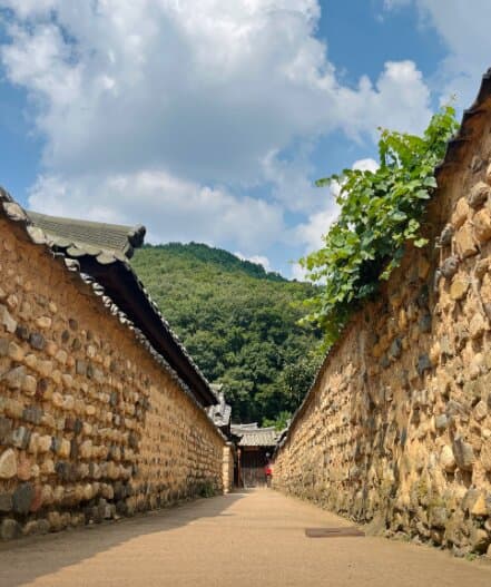 Samunjin Bamboo Grove