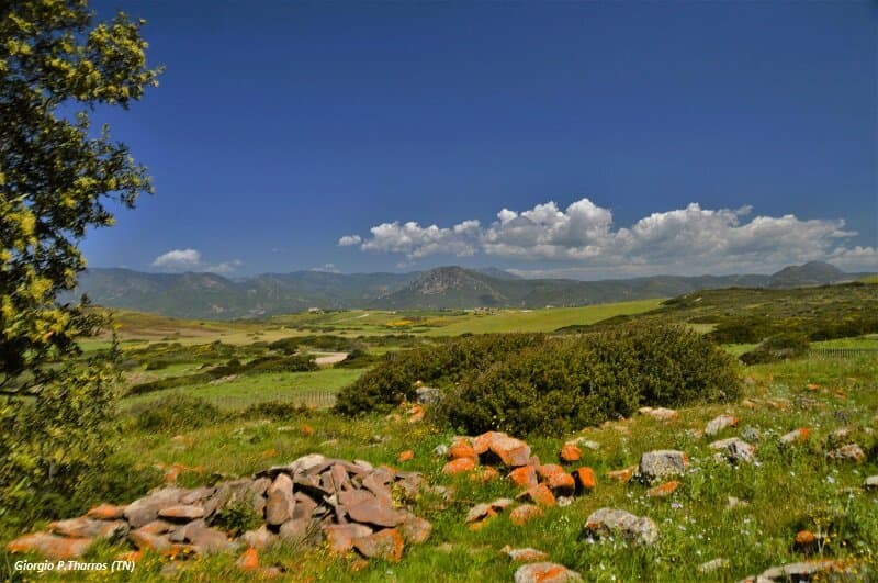 Gonnesa (SU) Cixerri. Complesso nuragico di Seruci, panorama