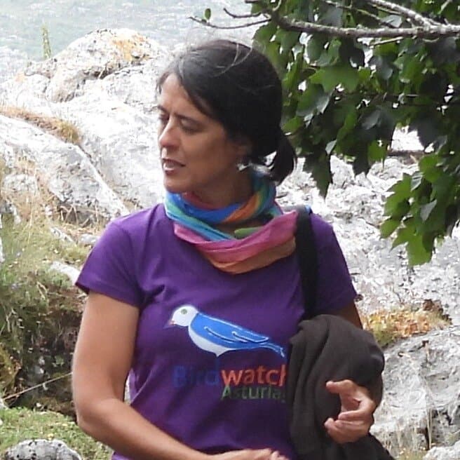 Covadonga Lakes Picos de Europa