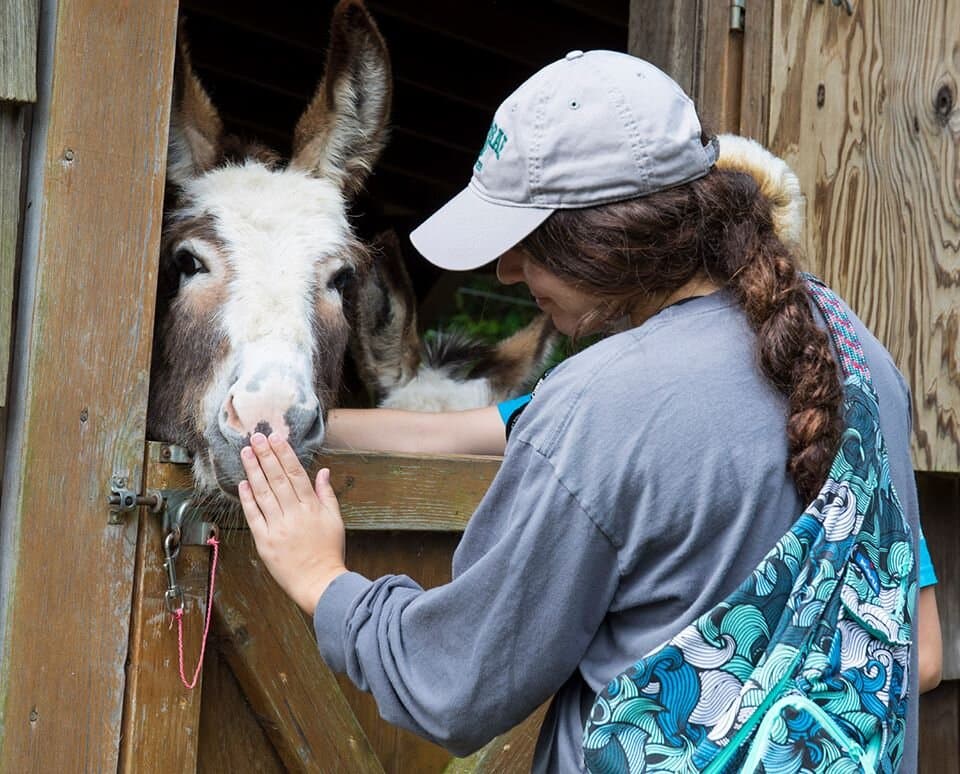 Donkey kisses