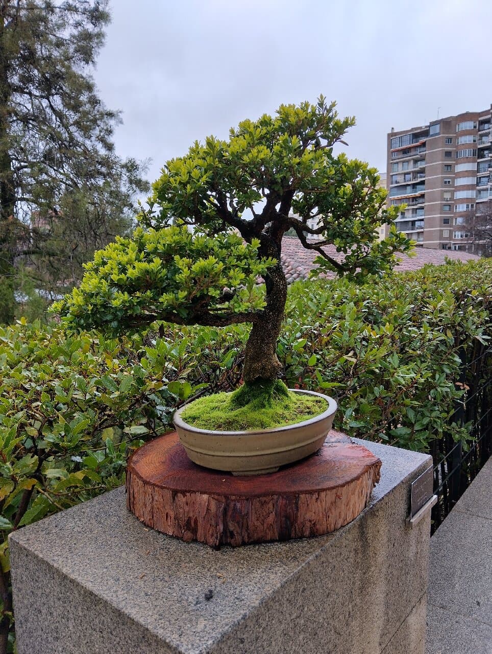 Real Jardín Botánico Juan Carlos I Universidad de Alcalá