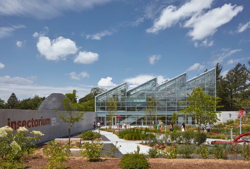 Le Jardin des pollinisateurs situé face à l’Insectarium met en valeur des espèces de plantes à fleurs indigènes, qui jouent un rôle dans l’équilibre de la biodiversité.