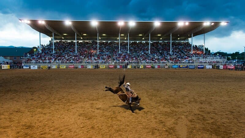 Rodeo nights Sheridan County Fairgrounds