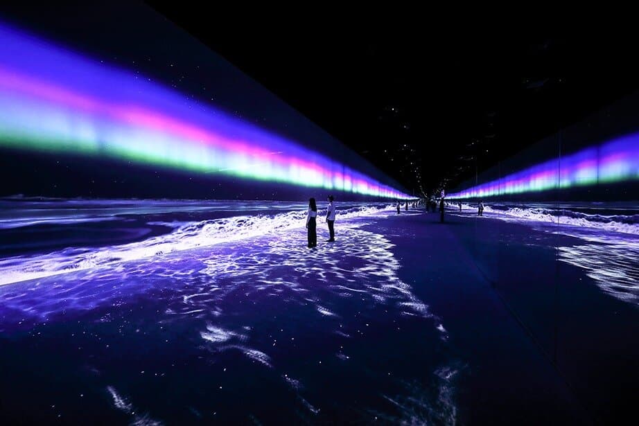 Immerse yourself in 'Eternal Nature' at Arte Museum