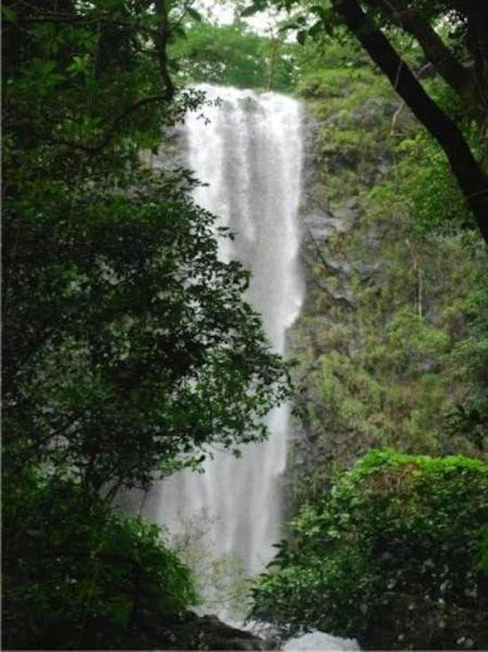 getlstd_property_photo