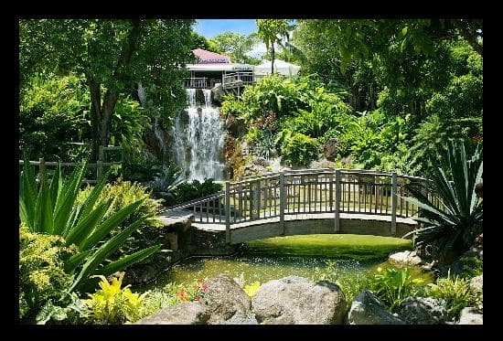 cascade et végétation tropicale