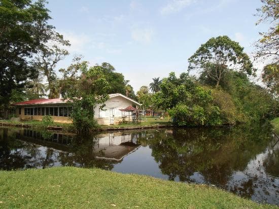 View towards the adjacent Zoo.