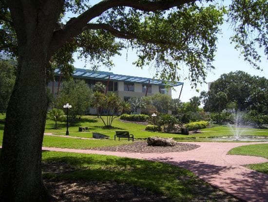 Coachman's Park, just off the trail