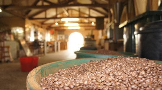 Our Freshly Roasted Beans