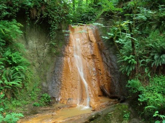 Waterfall along the Coal Creek Trail.