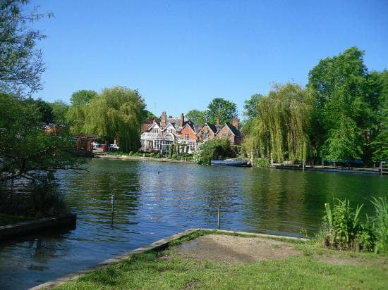 The Thames
